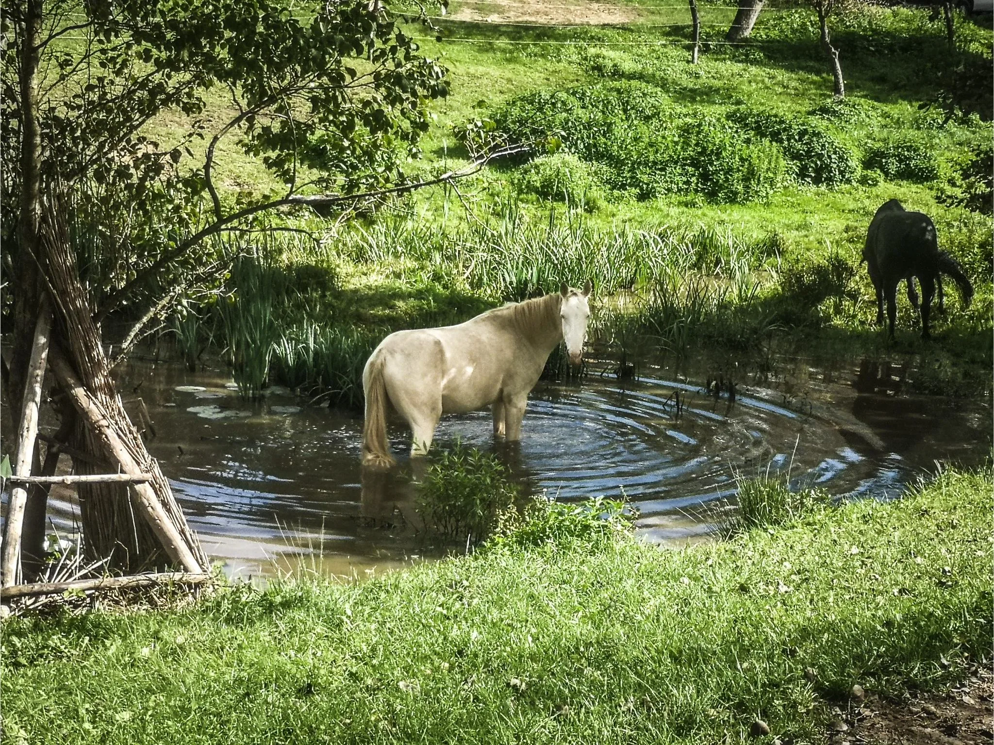 Helyi erőforrás alapon gazdálkodó, piacra termelő, gazdaságot erősítő vidéki közösségek létrejöttének ösztönzése