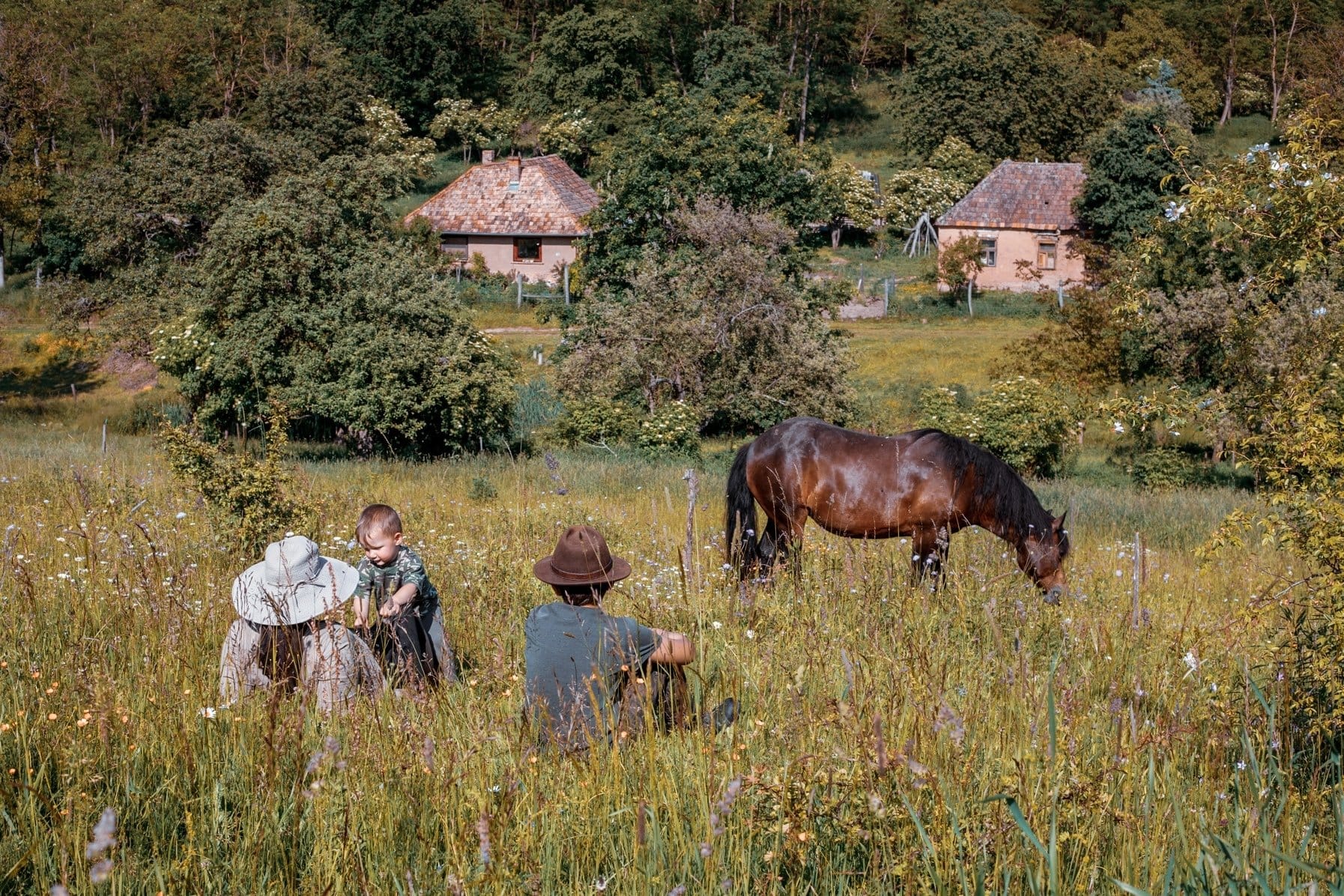 Környezeti etika elősegítése, permakultúra, természetazonos életmód, alternatív irányzatok és módszerek terjesztése
