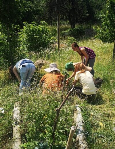 Összhangban a természettel, avagy hogyan tervezz kisebb ökológiai lábnyommal és maradj harmóniában környezeteddel könnyedén