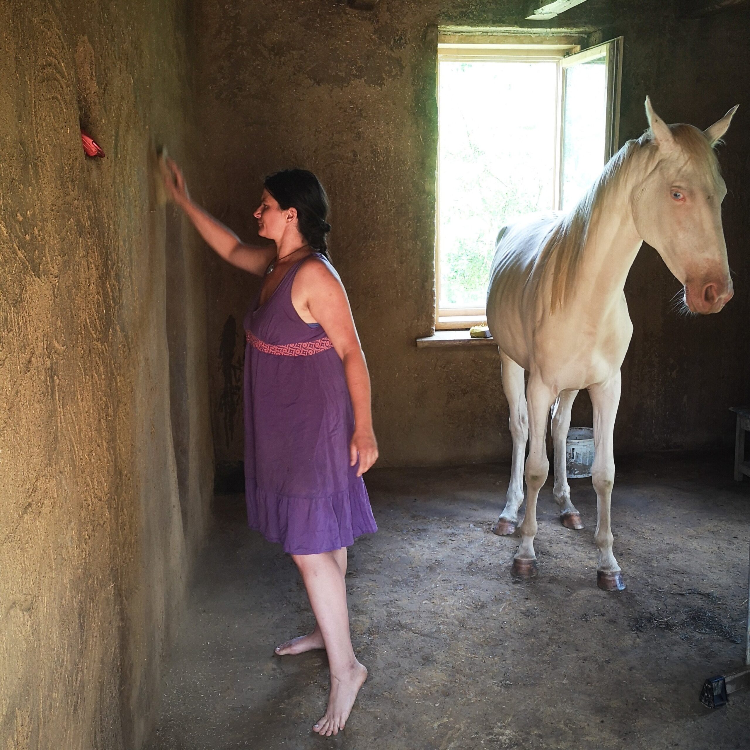 simito-vakolat-valyogbol-es-lo Vályog vékonyítás a döngölt fal javításához. Házilag tapasztani, vályogot keverni, tapasztáspróbát végezni tanulhatsz velünk