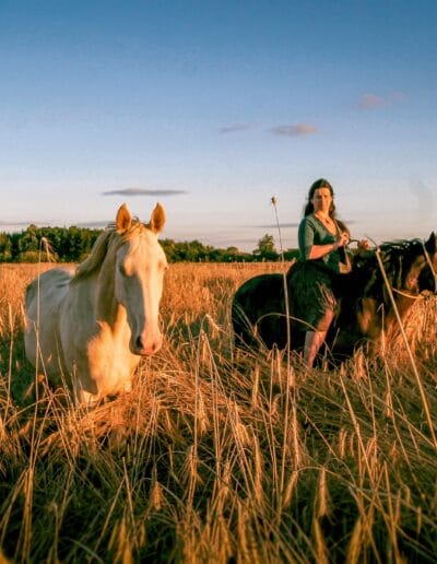 Lóval végzett gazdasági munkák mellett lovaimnak szerepe van: rekreációban, önismeretben, vezetői képességek fejlesztésében