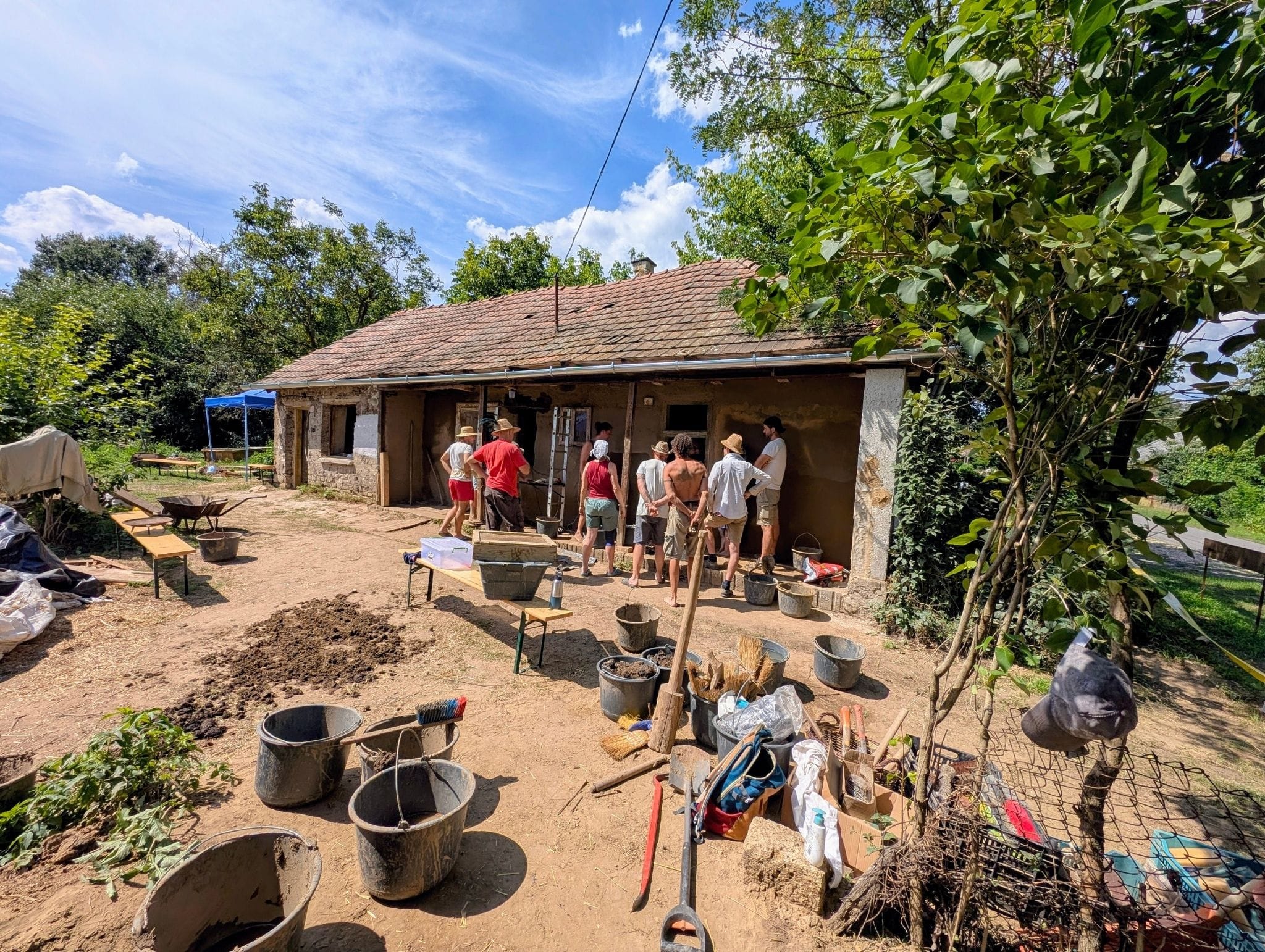 Víztisztítás természetes módon: a nagy körforgásba illeszkedik,ha vízinövényzet gyökere használja fel a "szennyet" a vízből
